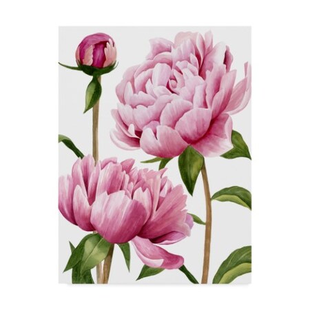 Trademark Fine Art Grace Popp 'Winsome Peonies I' Canvas Art, 18x24 WAG08421-C1824GG